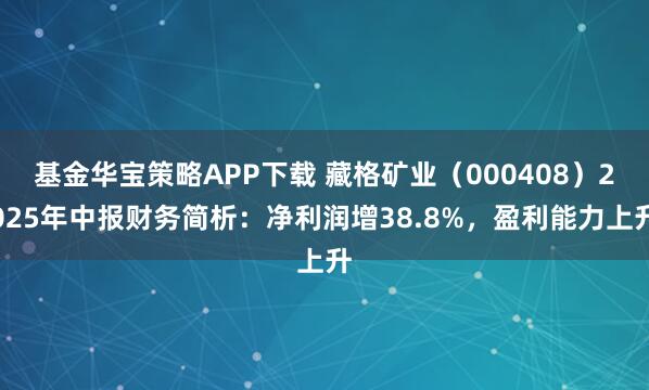 基金华宝策略APP下载 藏格矿业（000408）2025年中报财务简析：净利润增38.8%，盈利能力上升