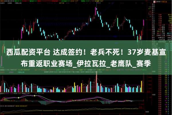 西瓜配资平台 达成签约！老兵不死！37岁麦基宣布重返职业赛场_伊拉瓦拉_老鹰队_赛季