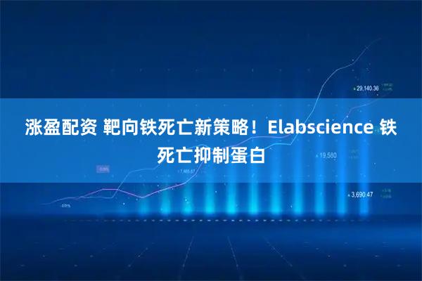 涨盈配资 靶向铁死亡新策略！Elabscience 铁死亡抑制蛋白