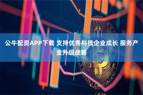 公牛配资APP下载 支持优秀科技企业成长 服务产业升级战略